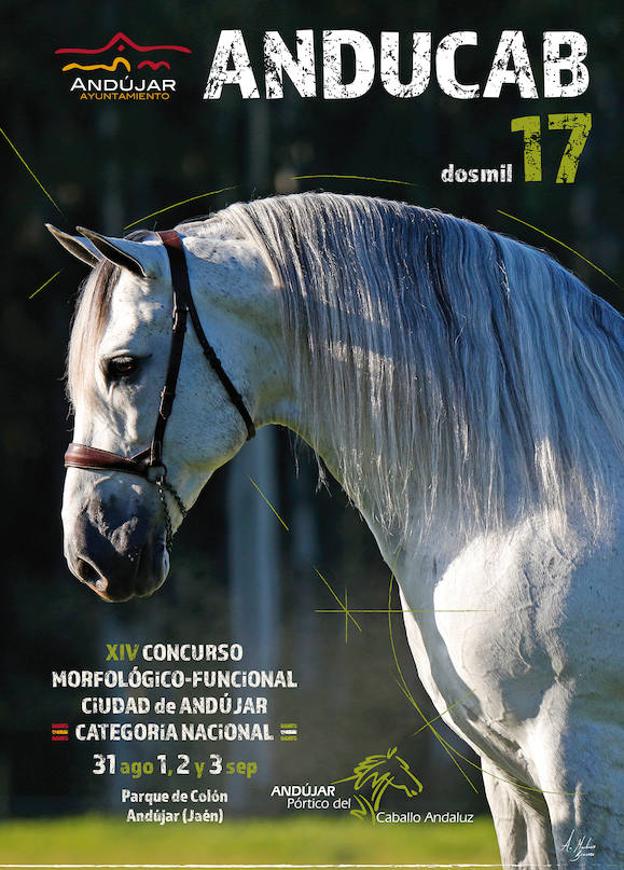 Cartel de ANDUCAB 2017.