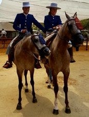 Un jinete y una amazona ayer en la previa del concurso de Colón.