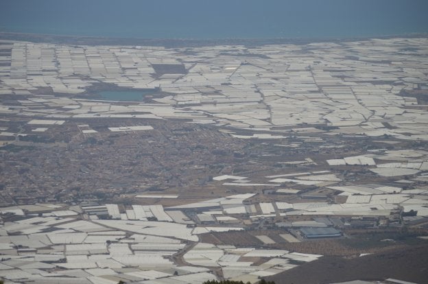 Vista general de parte de las explotaciones agrarias bajo abrigo en el municipio de El Ejido.