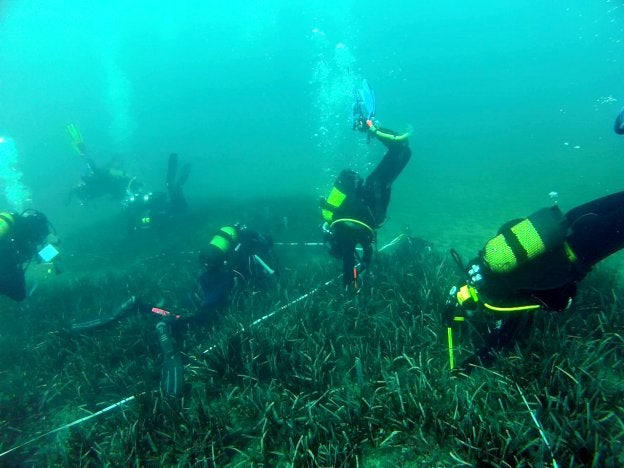 La idea es habilitar una zona de arrecifes junto al Puerto Deportivo para fomentar el buceo.