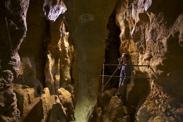 Antonio Rosas explora la cueva de El Sidrón. En el recuadro, setas y piñones, comida de los neandertales del sur./JOAN COSTA DÍAZ
