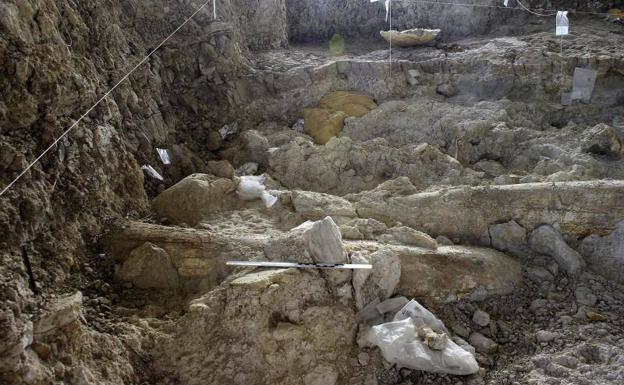 La excavación en Orce./EFE