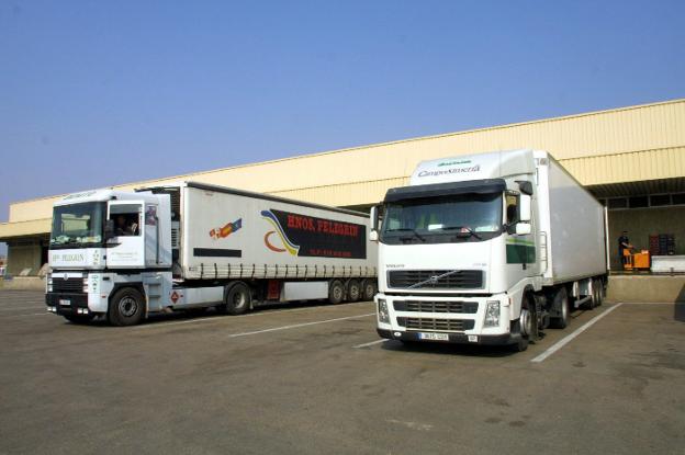 Camiones frigoríficos para la exportación de frutas y hortalizas./