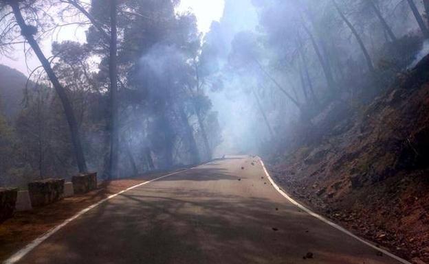 Incendio forestal en Villanueva del Arzobispo./INFOCA
