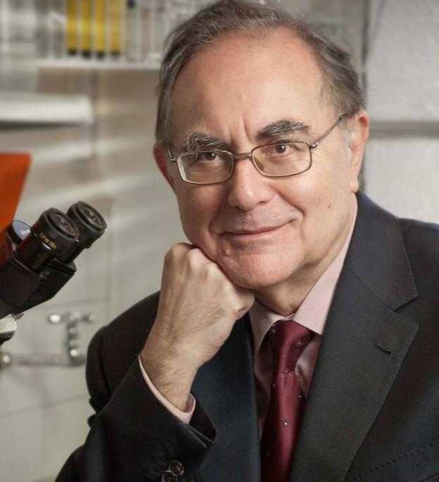 El catedrático de Granada Antonio Campos, elegido embajador de la medicina española