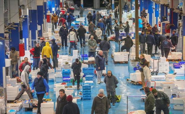 Casi 11 toneladas de alimentos por Navidad