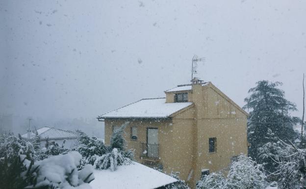 Los vídeos y fotos que los granadinos han hecho de la nevada