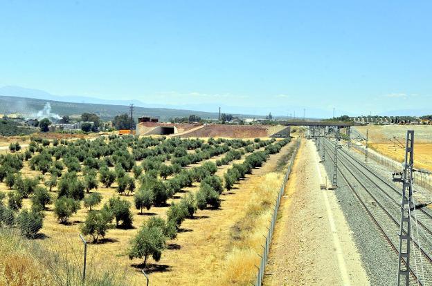 Terrenos donde se construirá el Puerto Seco. /ENRIQUE