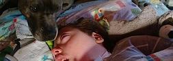Alemania se moviliza para evitar que separen a un perro del niño en coma al que cuida desde hace 6 años