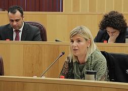Aprobado el presupuesto de la Diputación de Granada, que sube un 14,2 por ciento en 2014