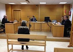 Imagen de la vista oral antes de la suspensión en febrero. :: IDEAL/