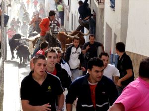 Los astados, por las calles de La Peza poco antes de producirse la fuga de uno de ellos. / TORCUATO FANDILA/