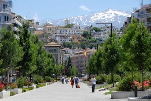 El Ayuntamiento de Granada es uno de los premiados este año. / IDEAL/