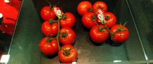 La calidad y seguridad alimentaria avala la extensa gama de tomates que oferta la Cooperativa Agrícola San Isidro (CASI). :: J. A. G./