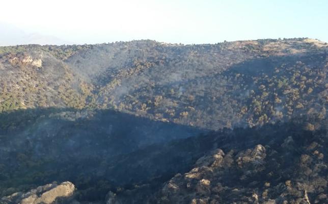 14 bomberos continúan las labores para extinguir el incendio forestal de Quesada