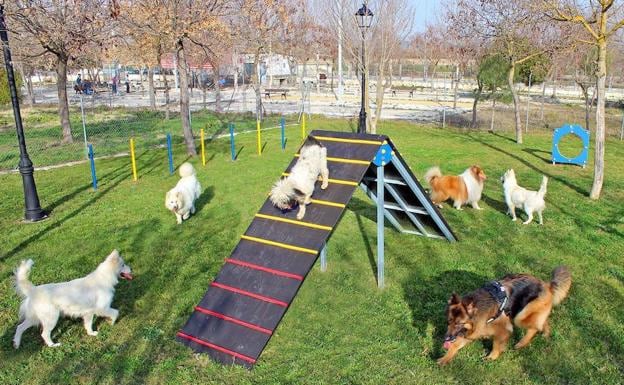 Resultado de imagen de porque son buenos los parques para perros