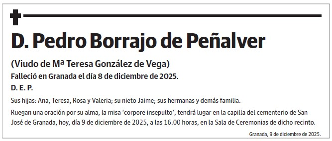 D. Pedro Borrajo de Peñalver