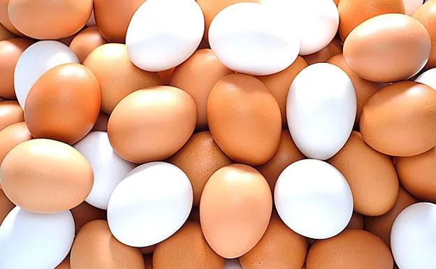 Resultado de imagen de huevos