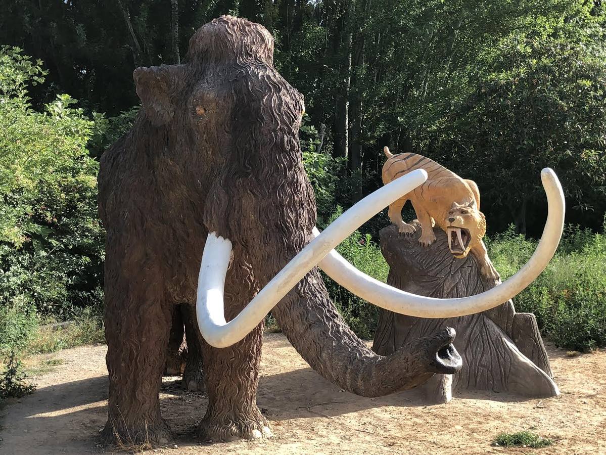 Foto de Parque Turístico del Mamut en Padul, Granada