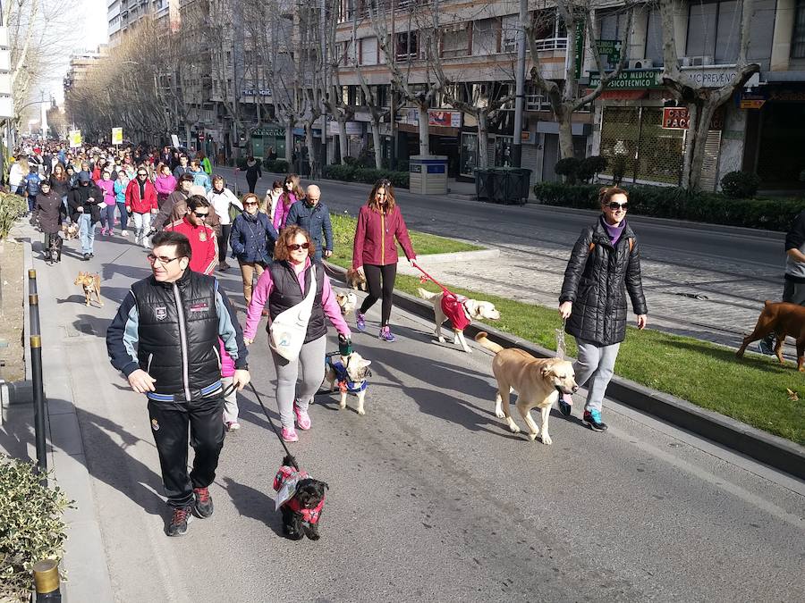 Jaén sale a la calle por sus mascotas
