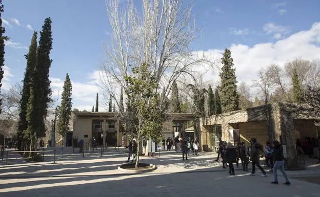Alhambra, obligada rebaremar la de trabajo para | Ideal