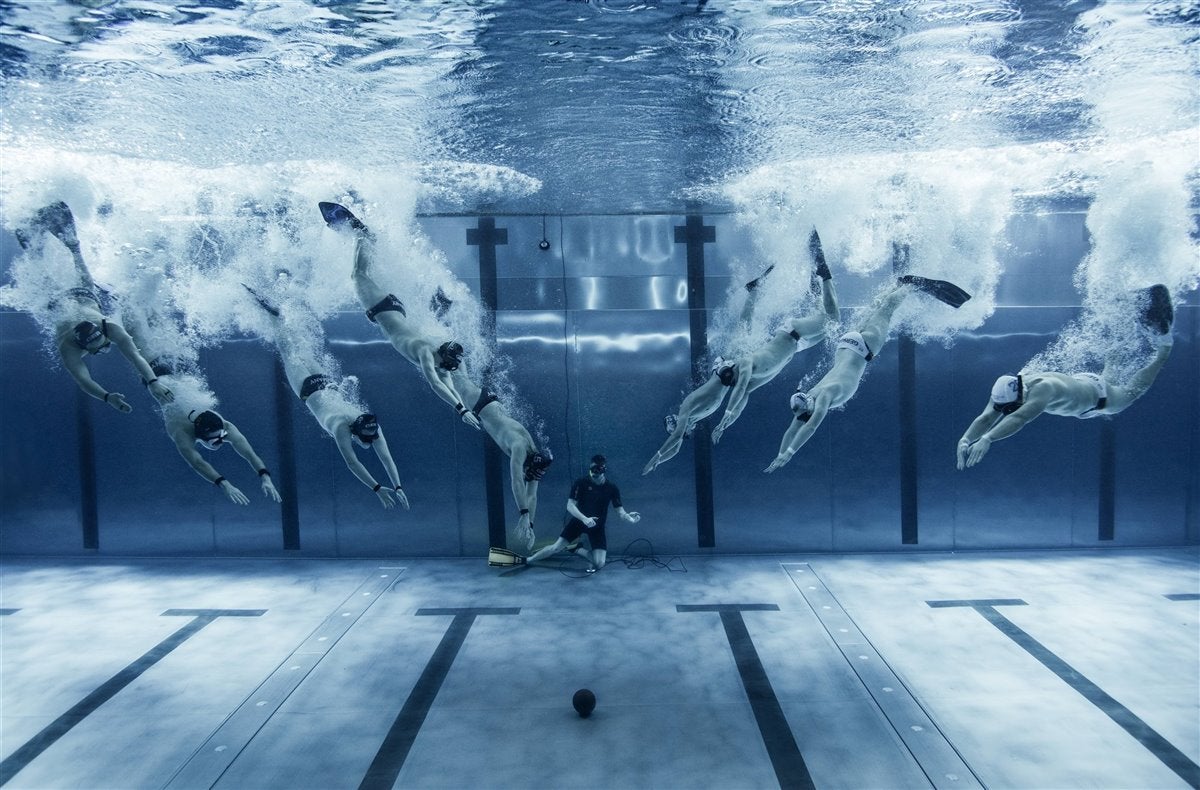 Las mejores imágenes submarinas de 2019