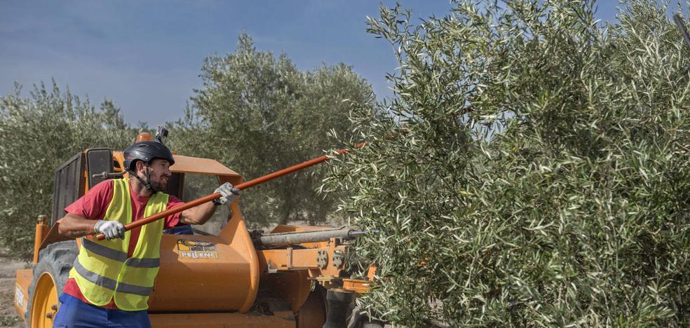 Las 19 Ofertas De Trabajo Para Cuidadores Y Agricultores Que Siguen Activas En Granada Ideal