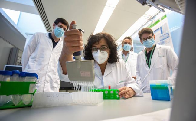 Irene Luque junto a sus colaboradores Fernando Montero, Diego Pozas y Francisco Castillo./ALFREDO AGUILAR